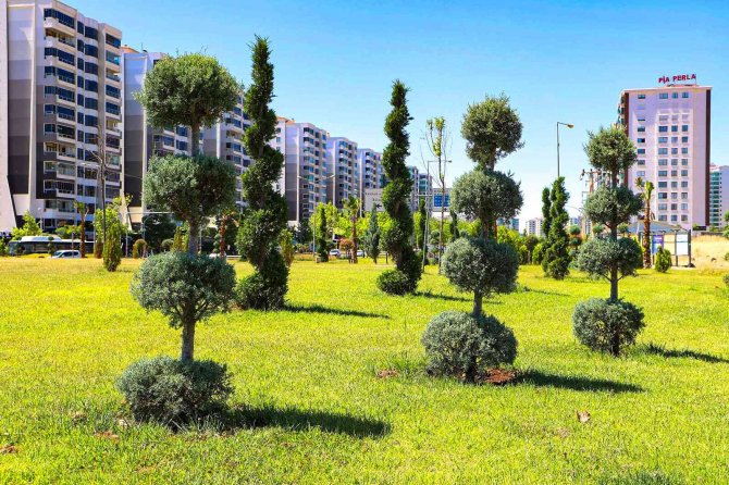Diyarbakır’da Daha Yeşil Bir Alan İçin 60 Bin Ağaç Dikilecek