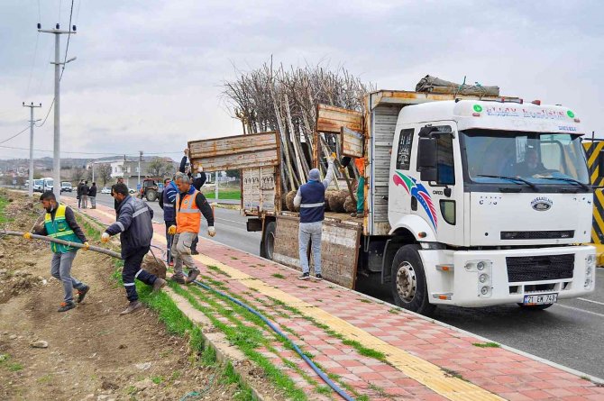 Diyarbakır’da Daha Yeşil Bir Alan İçin 60 Bin Ağaç Dikilecek