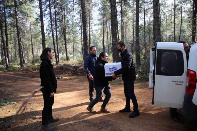 Döşemealtı’nda 3 Yeni Mağara Keşfedildi