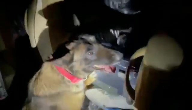 Sahte Hasta Nakil Aracıyla Uyuşturucu Sevkiyatı: 23 Kilo Esrar Ele Geçirildi