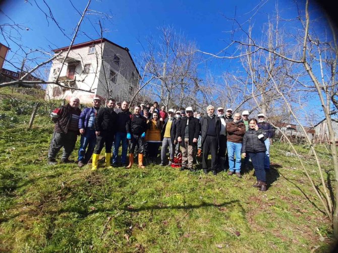 Fındık Üreticisine Budama Ve Gübrelere Eğitimi Veriliyor