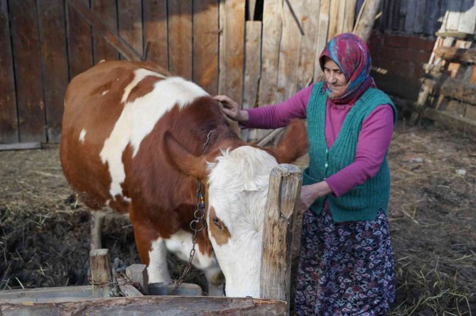 Yangınzede Kadın: “Yangında Başıma Tülbent Bile Alamadım”