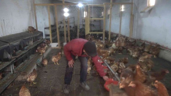 Yoğun Talep Üzerine Tavuk Çiftliği Kurdu, Şimdi Paraya Para Demiyor