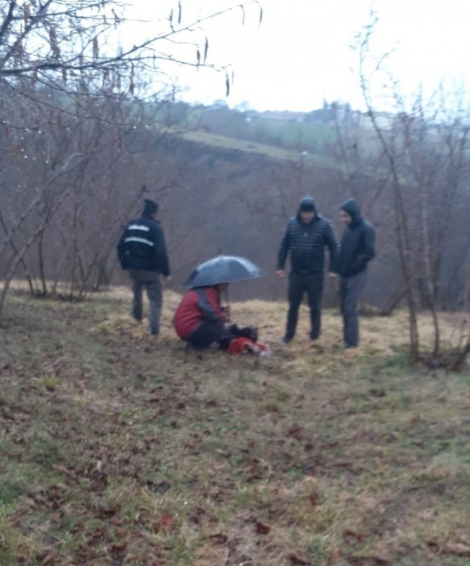Odun Yüklü Traktör Ağaçlık Alana Devrildi: 1 Yaralı