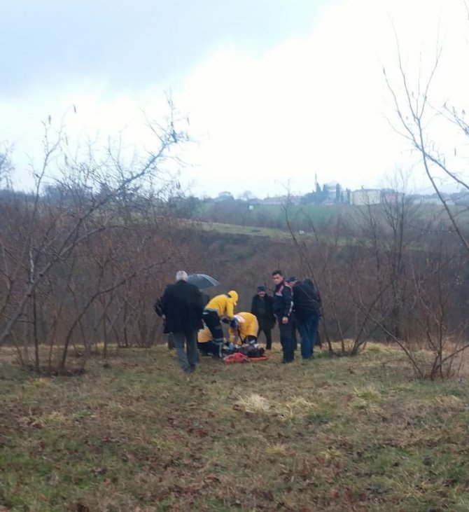 Odun Yüklü Traktör Ağaçlık Alana Devrildi: 1 Yaralı