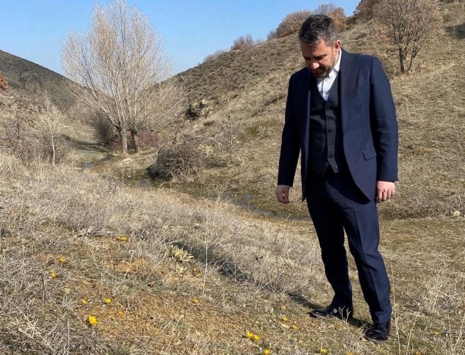 Pursaklar’da Baharın Müjdecisi Çiğdemler Çiçek Açtı