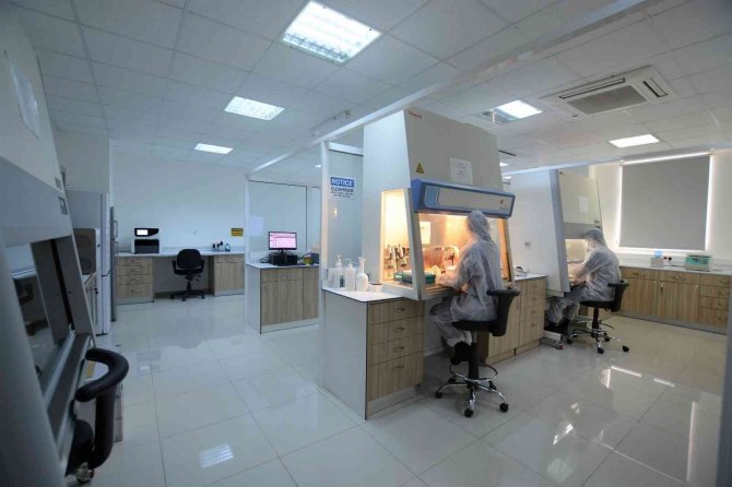 Omikron’un Alt Varyantı Ba.2 Kktc’de Tespit Edildi