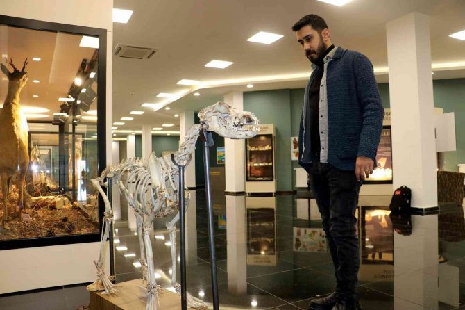 Türkiye’de İlk, Ziyaretçilerini Milyonlarca Yıl Öncesine Götürüyor