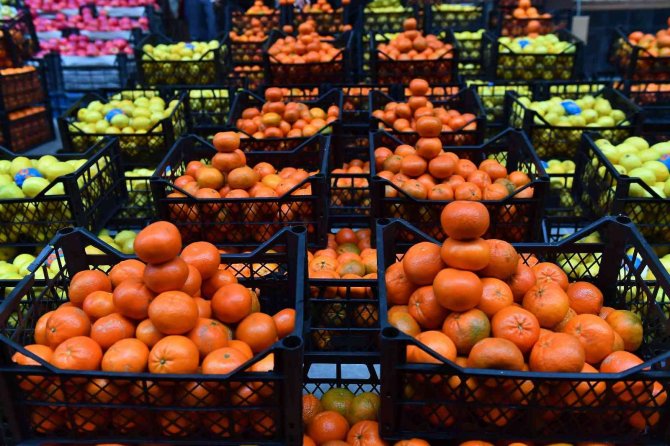 Başkentliler Kış Meyvesi Olarak Mandalinayı Tercih Etti