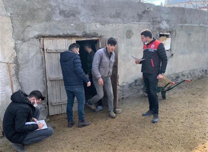 Iğdır’daki Küçükbaş Hayvan Tespiti Yapılıyor