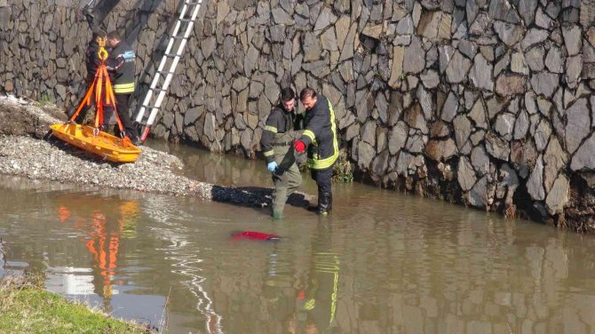 Kocaeli’de Dere İçerisinde Ceset Bulundu