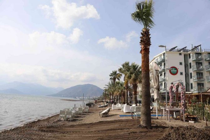 Marmaris’te Sahili Palmiyeler Kaplayacak
