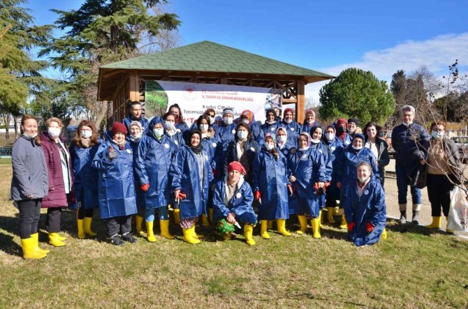 Tekirdağ Bağları Kadın Eliyle Güzelleşiyor