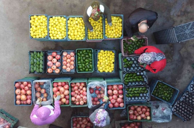 Mersin’den Avrupa’ya Nar, Limon Ve Avokado İhracatı