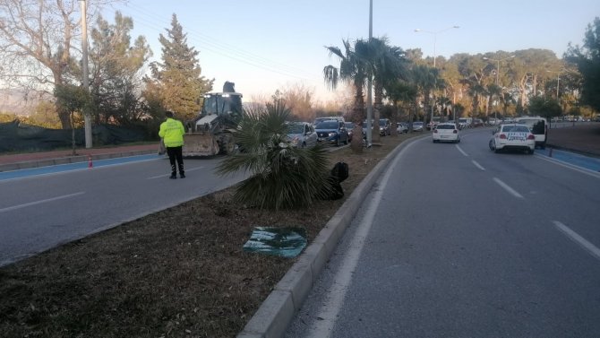 Otomobilin Palmiye Ağacına Çarparak Durduğu Kazada 2 Kişi Yaralandı