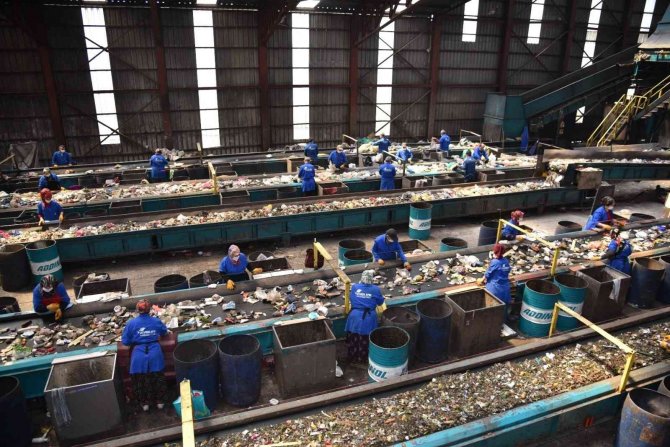 Atıklar Sıfırlandı, 319 Bin Ağaç Kesilmekten Kurtuldu