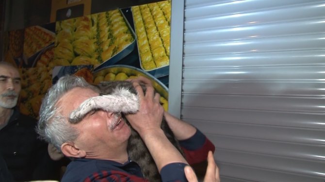 Esenler’de 3 Katlı Binanın Çatısında Çıkan Yangında Mahsur Kalan Kedi İtfaiye Ekipleri Tarafından Kurtarıldı