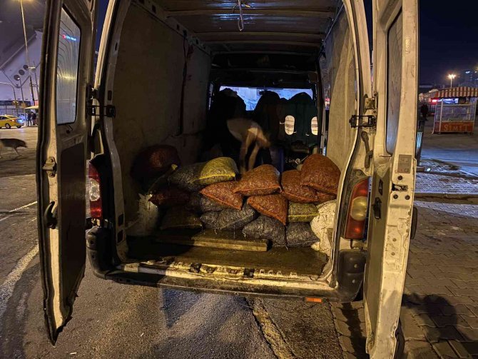 Kadıköy’de Sahil Güvenlik’ten Kaçak Midye Avcılarına Operasyon
