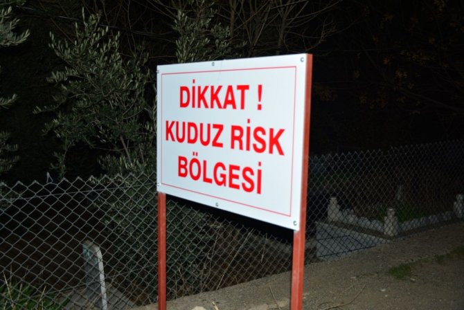 Mardin’de Vatandaşlara Saldıran Köpek Kuduz Çıktı, Mahalle Karantinaya Alındı