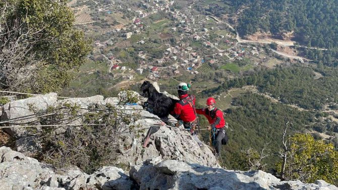Kayalıklarda Mahsur Kalan Keçi 5 Gün Sonra Kurtarıldı