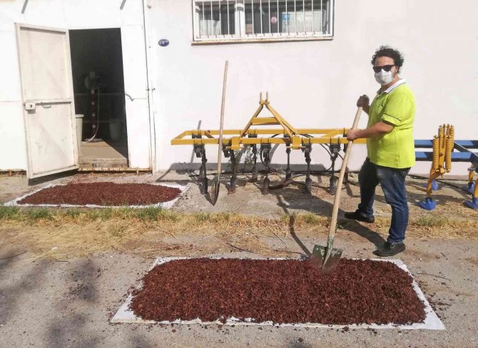 Hem Çevreye Hem Ekonomiye Katkı Sağlayacak Proje
