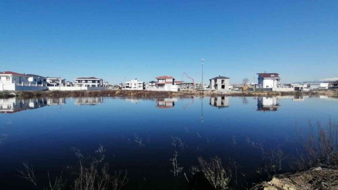 Yağmurla Oluşan Gölcükler Göçmen Kuşları Sevindirdi