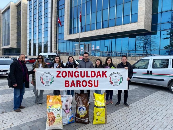 Zonguldak Barosu Avukatları Sokak Hayvanlarını Besledi