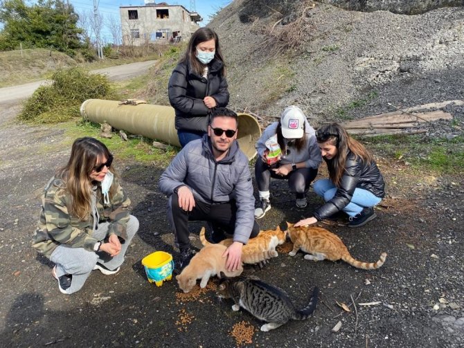 Zonguldak Barosu Avukatları Sokak Hayvanlarını Besledi