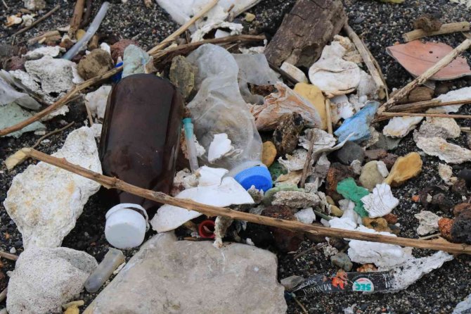 Çevre Felaketinin Ortasında Piknik Yaptılar