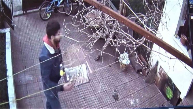 Ataşehir’de Elleri Cebinde Hırsız, Muhabbet Kuşunu Çaldı