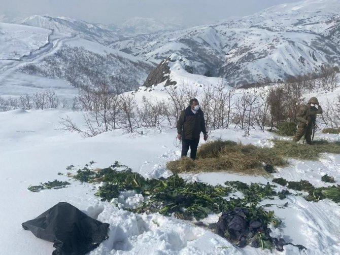 Ekipler, Jandarma İle Birlikte Doğaya Yem Bıraktı