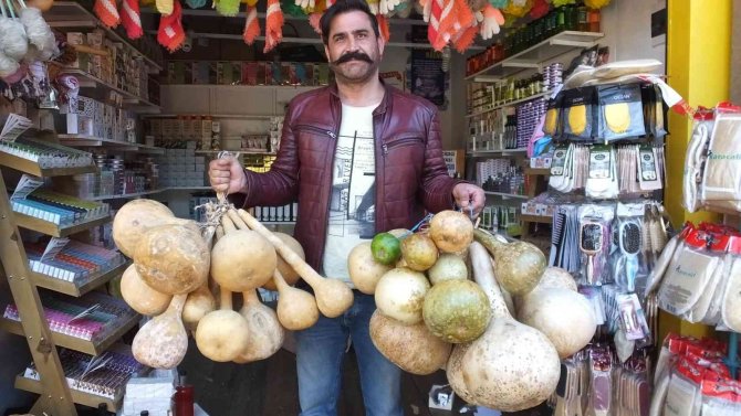 Su Kabakları Yok Satıyor