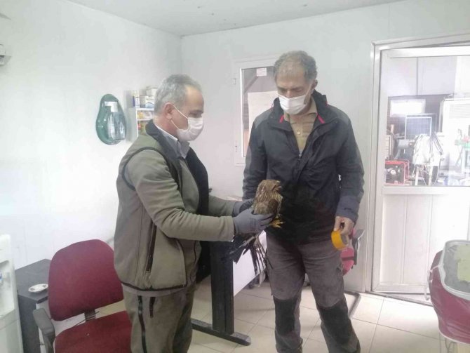 Aydın Dkmp Kaçak Avcılara Göz Açtırmıyor