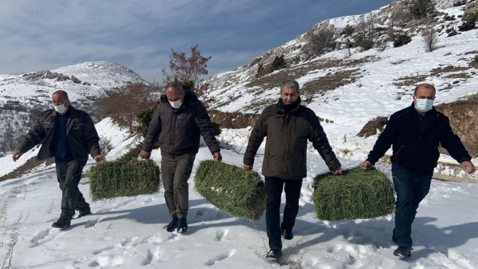 Elazığ’da Yaban Hayatı İçin Doğaya Tonlarca Yem Bırakıldı
