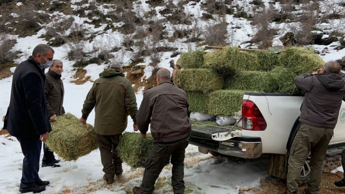 Elazığ’da Yaban Hayatı İçin Doğaya Tonlarca Yem Bırakıldı