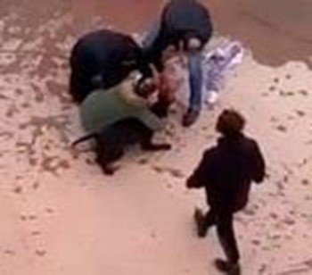 Minik Asiye’nin Pitbull Saldırısına Uğramasına İlişkin Dava Başladı