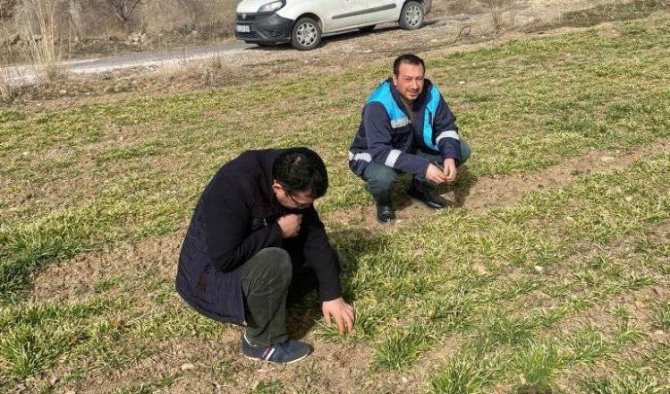 Gediz’de Hububat Çıkış Kontrolleri