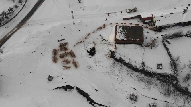 Küçükbaş Hayvan Yetiştiren Köylülere Yüzde 100 Hibe İle Yem Desteği