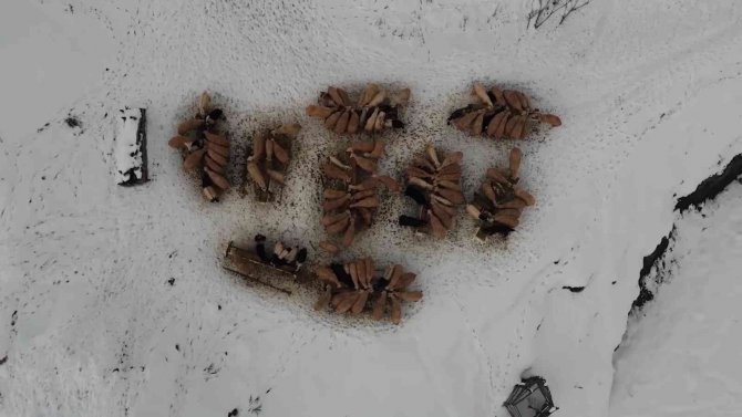 Küçükbaş Hayvan Yetiştiren Köylülere Yüzde 100 Hibe İle Yem Desteği