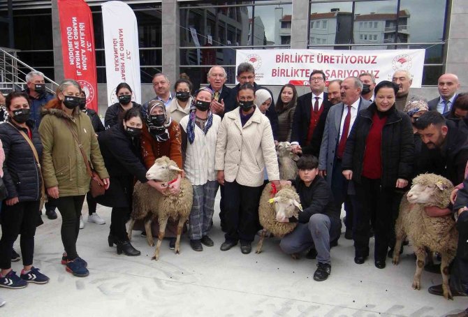 Yangın Mağduru Kadın Üreticilere 10 Bin Koyun