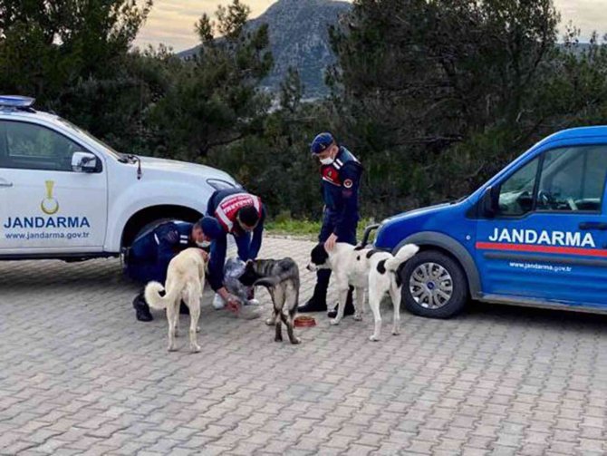 Can Dostlara Jandarma Şefkati