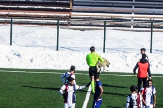 Sahaya Giren Davetsiz Misafire Hakem Müdahalesi