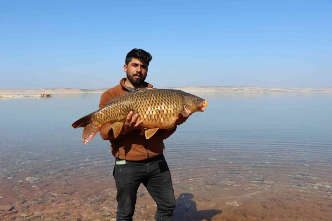 Şanlıurfa’da Balık Tutma Yarışması Renkli Görüntülere Sahne Oldu