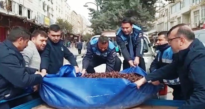 Şanlıurfa’da Küflenmiş Yarım Ton Hurma Ele Geçirildi