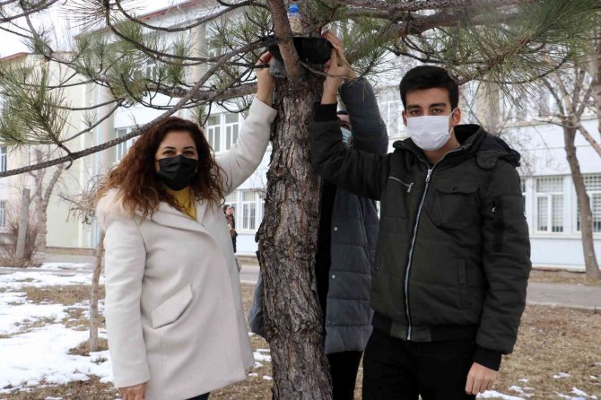 Atık Malzemelerden Kap Yapıp Sokak Hayvanları İçin Yem Bıraktılar