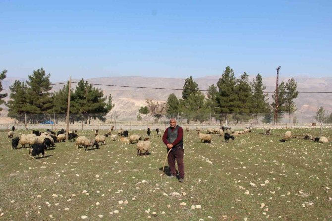 Kentten Köye Göç Edip Devlet Desteğiyle Çiftçilik Yapıyorlar