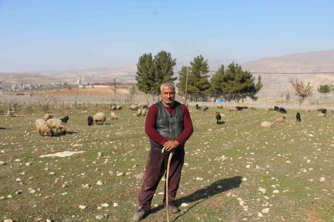 Kentten Köye Göç Edip Devlet Desteğiyle Çiftçilik Yapıyorlar