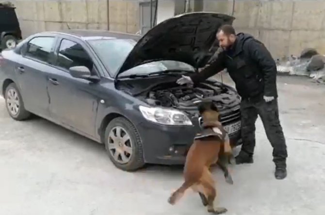 Şırnak’ta Aracın Motor Kısmına Saklanan Uyuşturucuyu ‘Stark’ Buldu