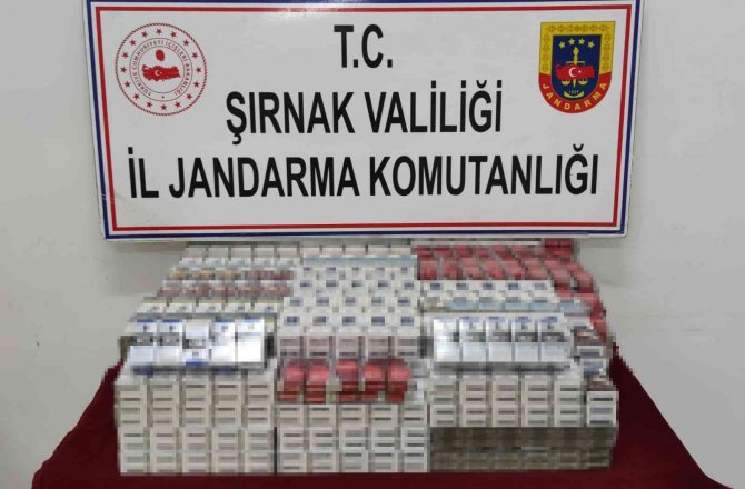 Şırnak’ta Terörün Finans Kaynaklarına Darbe: 83 Gözaltı