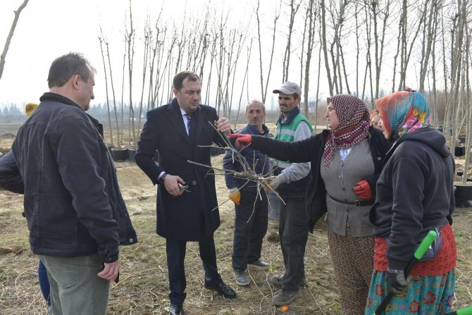 Fidanlık İncelendi